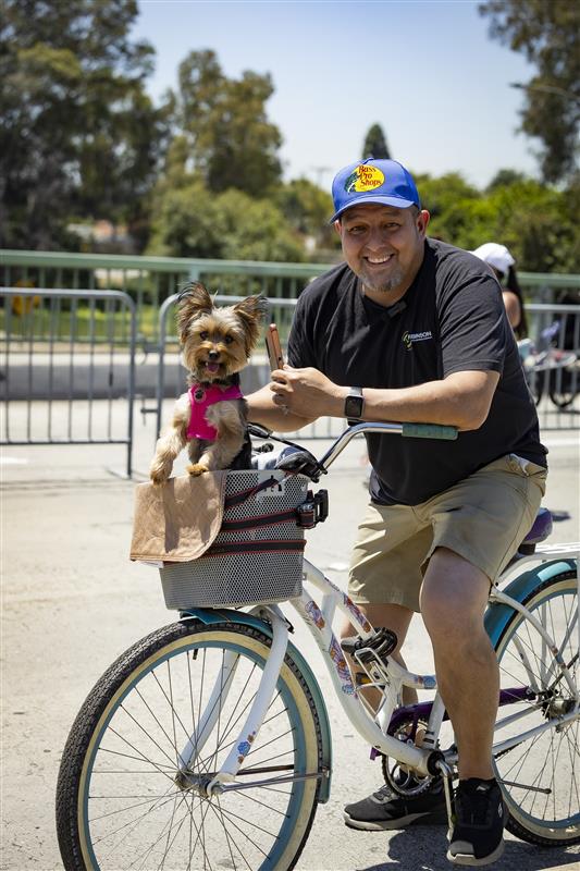 Beach Streets with your pets Beach Streets with your pets