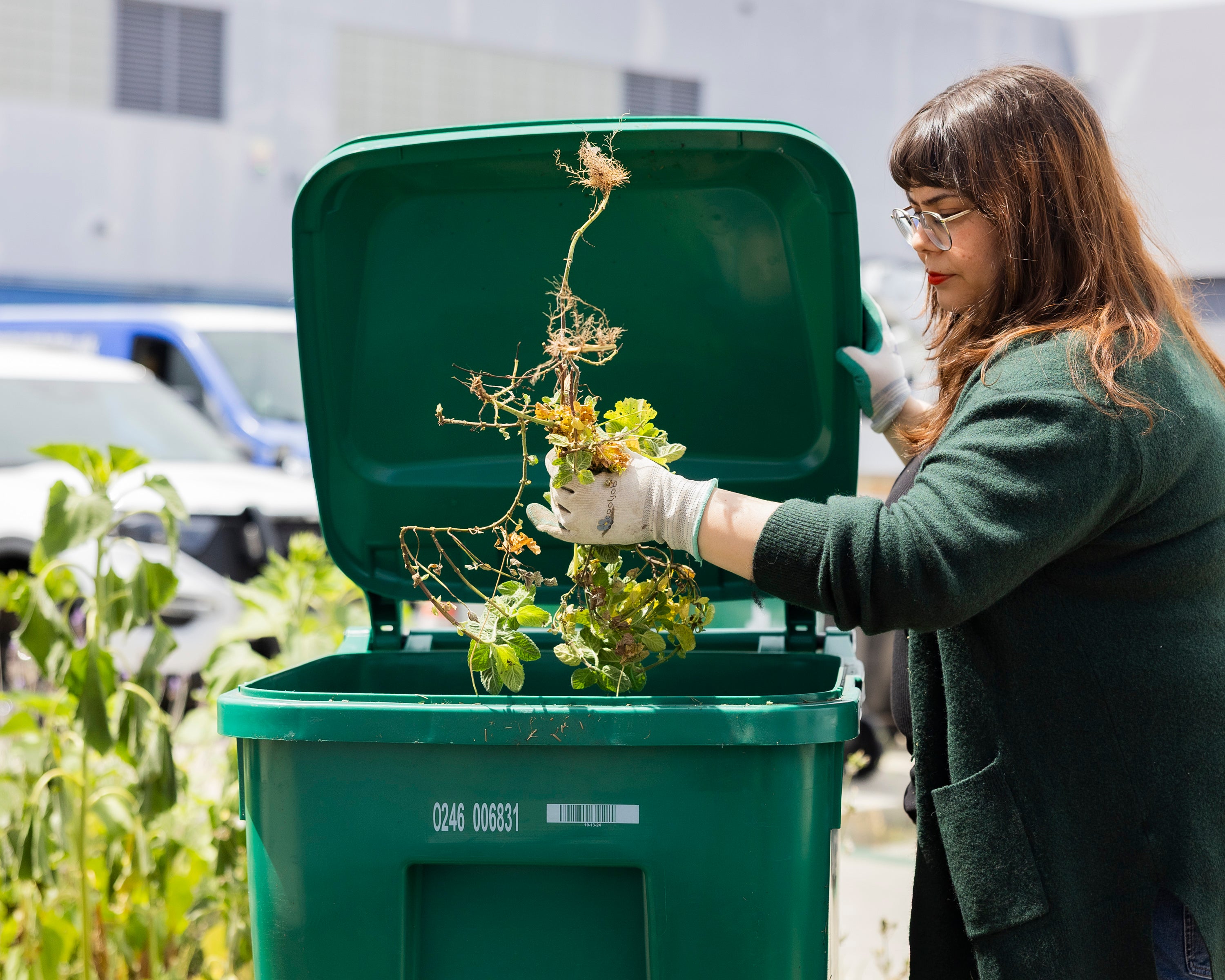 Residents throwing weeds into organics green bin Residents throwing weeds into organics green bin