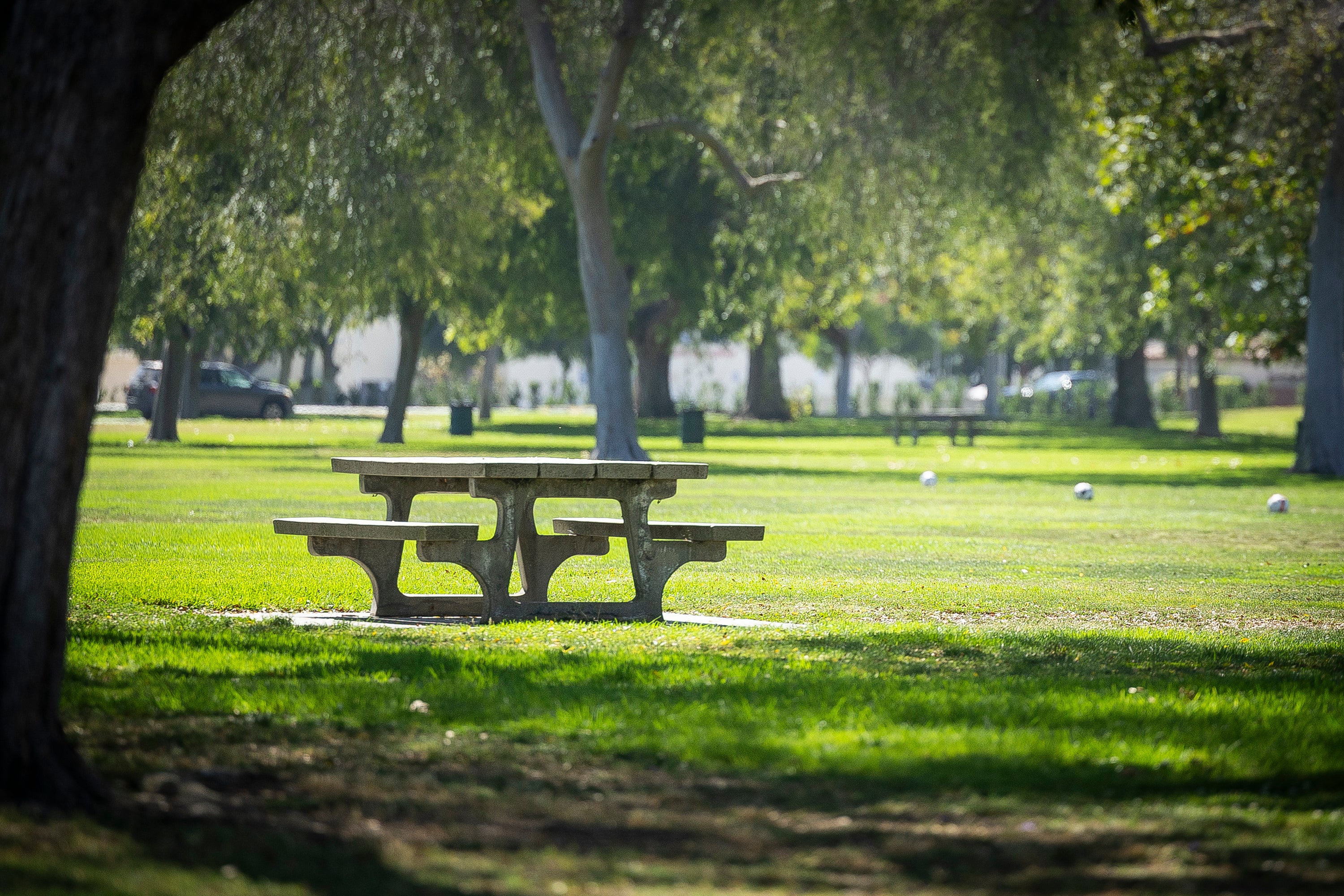 West Nile Virus Cases increasing in Long Beach West Nile Virus Cases increasing in Long Beach