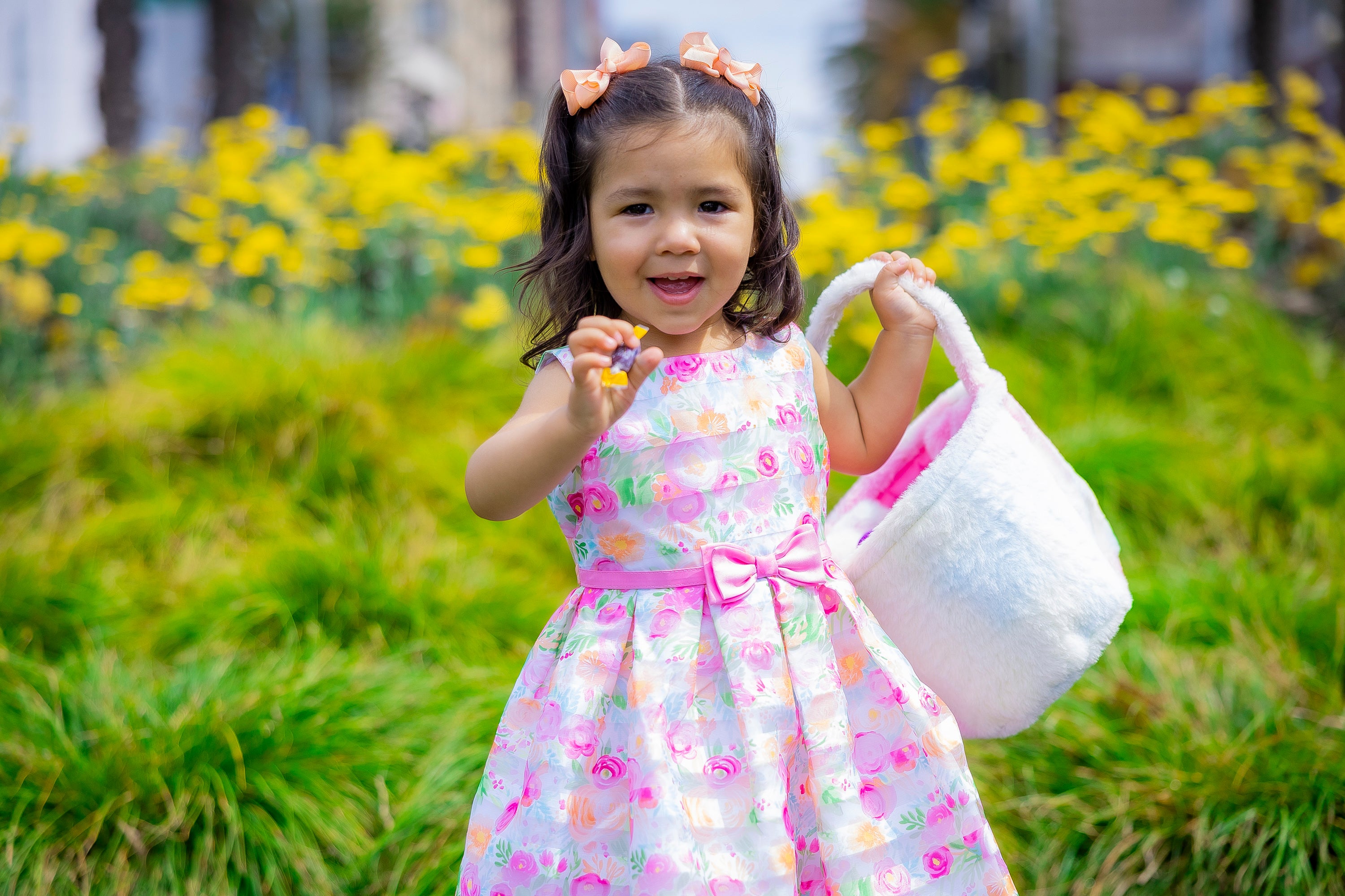 A little girl with an Easter basket A little girl with an Easter basket